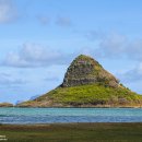 비치파크 이미지