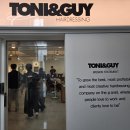 자연앤동물병원 미용실 | 강남구 대치동 한티역 미용실 토니앤가이 대치점 레이어드펌 클리닉 후기