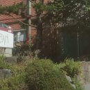 위캔잡