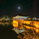 월정교 화장실 | 동궁과 월지 경주가볼만한곳 안압지 주차 입장 점등시간 월정교 아이랑갈만한곳