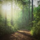 서초유스센터 이미지