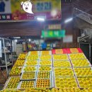 상호농장 | 제주도 올해의 귤 농가 수상, 농장 직거래로 신선한 제주산 귤 구매 내돈내산 꿀팁