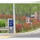 지에스(GS)25 창원상남점 이미지