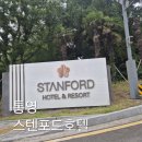 [​내돈내산] 🌊통영 스탠포드 호텔 온돌 스위트 오션뷰 솔직 후기