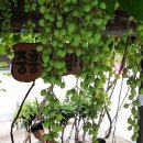 중흥2동 행정복지센터 앞 이미지