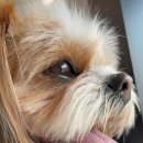 허그미동물병원 이미지