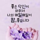 24시노인상담센터 이미지