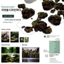 아쿠아플랜트디자인 이미지