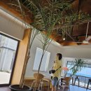 해안중학교 | 성산일출봉이 한눈에 보이는 성산일출봉카페 수마