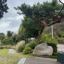 순천세계수석박물관 | 순천 세계 수석박물관 &amp; 오곡 카페 다녀와봄