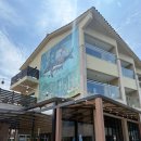 제주 애월 가족여행 펜션 추천 내돈내산 후기 흰수염고래 리조트