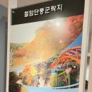 철암탄광역사촌 이미지
