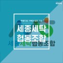 세종세탁 이미지