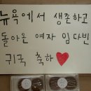 하이츄우 | 호박은 가고 트리가 왔다