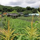 개일리경로당 이미지