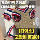 355-2-000001 | 구미 다이소에서 찾은 고양이 옷걸이! 실사용 사진까지 공개
