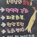 금산수삼 5년근 세척 파삼!!!!! 이미지