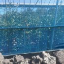 만춘농장 이미지