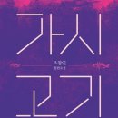 마니본영상