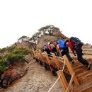 이재옥농장 이미지