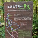 서귀포 치유의 숲 노고록 숲길 네이버블로그
