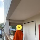 웰컴캐노피 | [코사무이] 신혼여행 숙소 '반다라 리조트' (1) - 트로피컬 캐노피룸