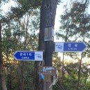 대명산 이미지