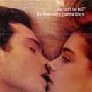 1981끝없는 사랑 Endless Love 이미지