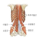 디오필라앤핏 오목교점 이미지