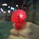 알앤비 풍무 복싱클럽 | 뮤지컬 킹키부츠 후기 (줄거리, 캐릭터 소개, 시야후기, 관람후기)