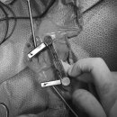 코끼리동물병원 이미지