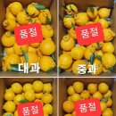 삼진농장 이미지