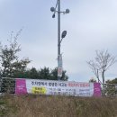 파평농원 | 양주 나리농원 천일홍축제 축제가 끝나도 지금 가야하는 이유 예쁜 꽃 가지고 오실 수 있어요