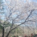 지니스안경 효자신시가지점 이미지