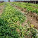 두동슈퍼 이미지