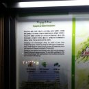 부산여자대학교 한국차박물관 이미지