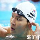 박태환 카카오 검색결과
