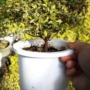 광선농장 이미지