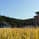 세원 태양광발전소 이미지