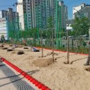 진영장등초중학교 이미지