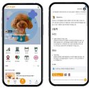 플레이펫 이미지
