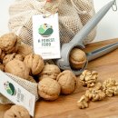 시월 호두 이미지