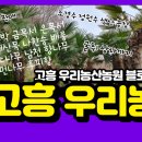 노한도 농장 이미지