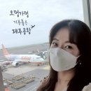 미르메딕스 이미지