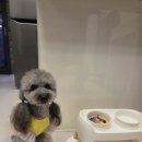 원바이트미 이미지