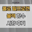 향수(鄕愁) 속 고 | 폴로 블랙 향수 시향 후기 리뷰 - 묵직한 망고향 edt