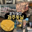 3367 | <경기/일산> 일산 제주돗날 후기｜회식 장소 고민 끝｜누구 데려가도 욕 안 먹는 고기집
