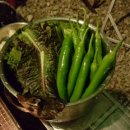 캠프리카 캠핑장 이미지