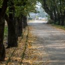 덕천민속마을 이미지