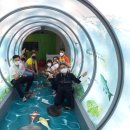 (주)물사랑 이미지